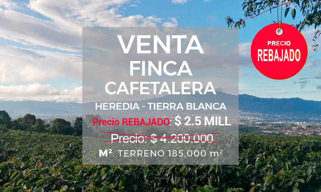 VENTA DE FINCA CAFETALERA UBICADA EN SAN ISIDRO, TIERRA BLANCA, HEREDIA (00)
